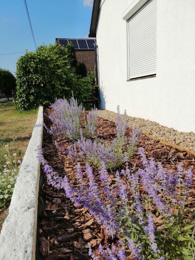 Ferienwohnung Zacisze Kalwy Exterior foto